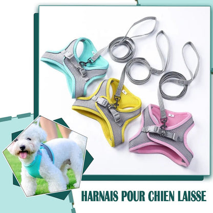 Harnais petit chien | Vivaflane™ - Je Promène Mon Chien