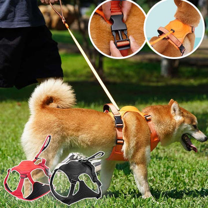 Harnais pour chien - Canykit™ - Je Promène Mon Chien