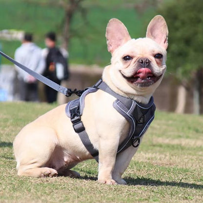 Harnais pour chien gris seyant