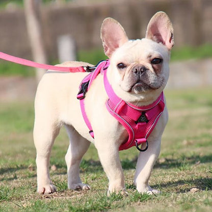 Harnais pour chien rose flashy