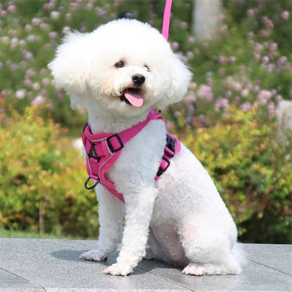 harnais pour chien rose promenade