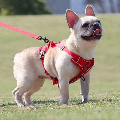 harnais pour chien rouge parc