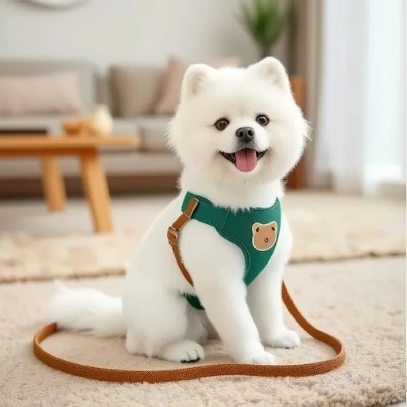 Harnais pour petit chien | Ultraconfort™