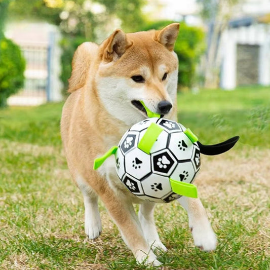 Balle pour chien | Dentaballe™