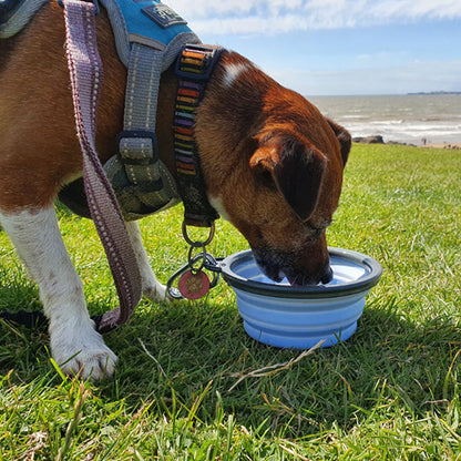 GAMELLE POUR CHIEN - PRATIQUE™