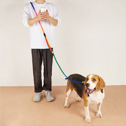 Laisse mains libres pour chiens - Multicolore