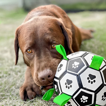 Balle pour chien | Dentaballe™
