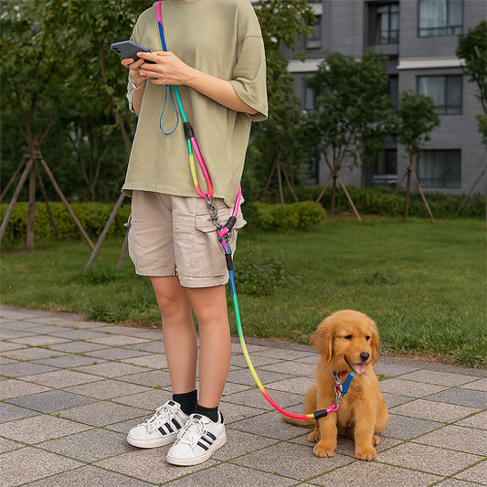 Laisse mains libres pour chiens - Multicolore