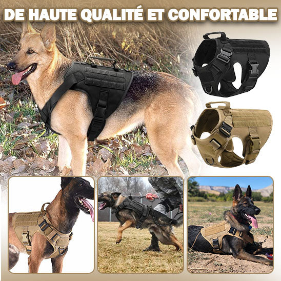 Harnais tactique chien | Vainqueur™