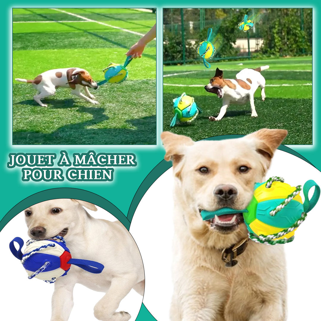 Balle pour chien - Extraballe™ magique 2 en 1