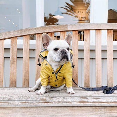 IMPERMEABLE POUR CHIEN | LE CIRE JAUNE
