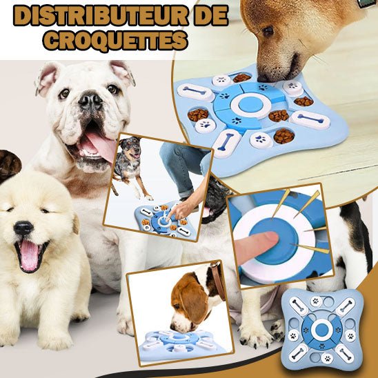 Jouet distributeur de croquettes | Canycroq™ - Je Promène Mon Chien