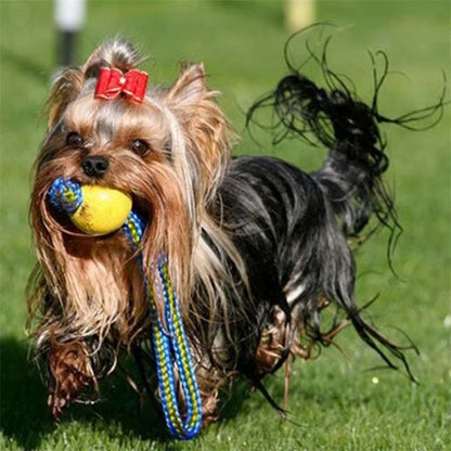 Jouet Indestructible pour Chien | Balle-corde ultra-résistante