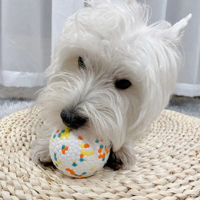 Jouet pour chien indestructible Ballemotive chien blanc machouille sa balle intérieur
