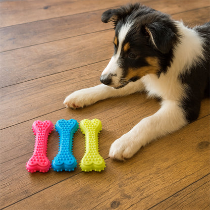 Jouet pour chien | Ultra-résistant