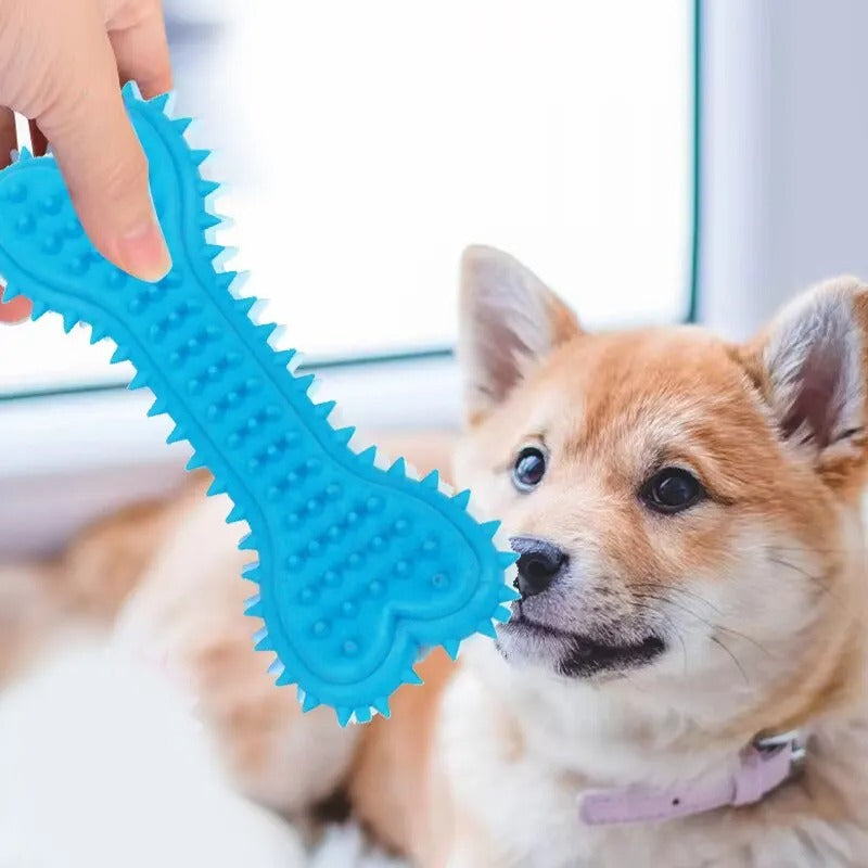 Jouet pour chien | Ultra-résistant