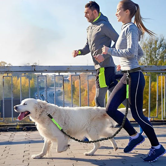 Laisse canicross footing en couple