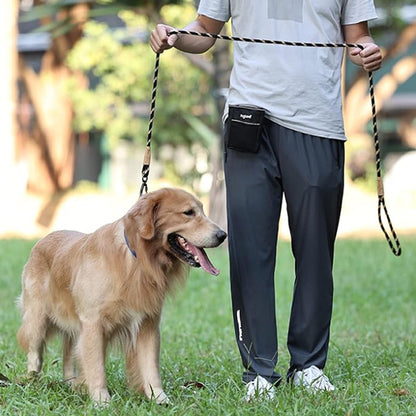 Laisse chien | Promenade Sécurisée