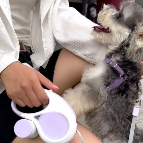 Laisse chien enrouleur | Sécuri-Flex™