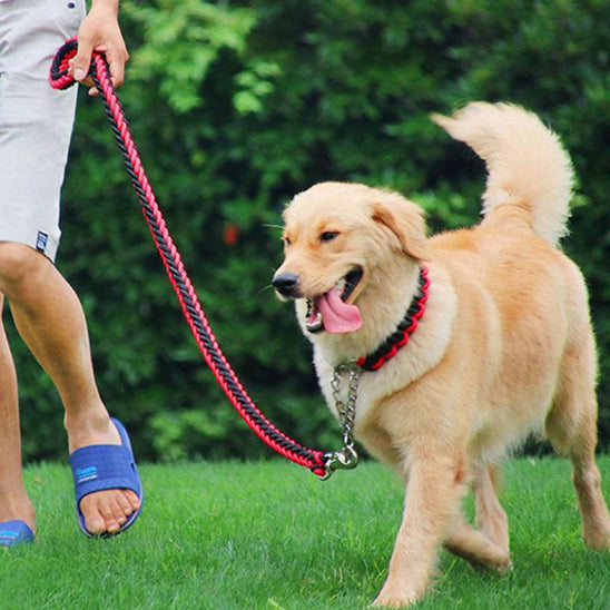 Laisse chien | Ergonomique