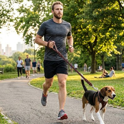 Laisse chien jogging au parc