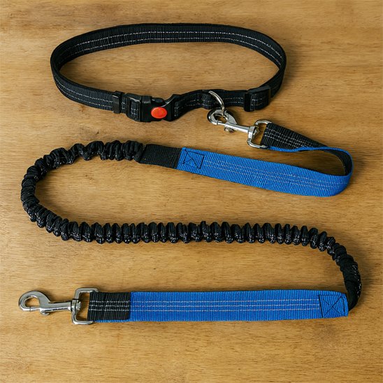 Laisse chien main libre bleue