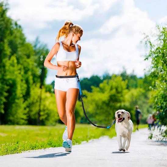 Laisse chien main libre entrainement