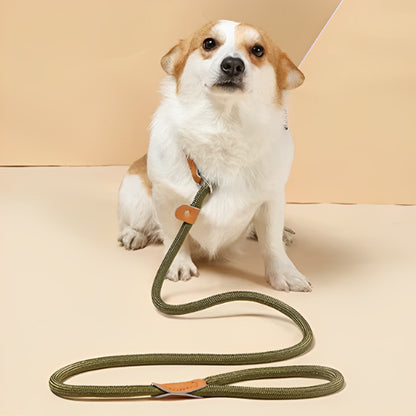 Laisse chien | Robuste