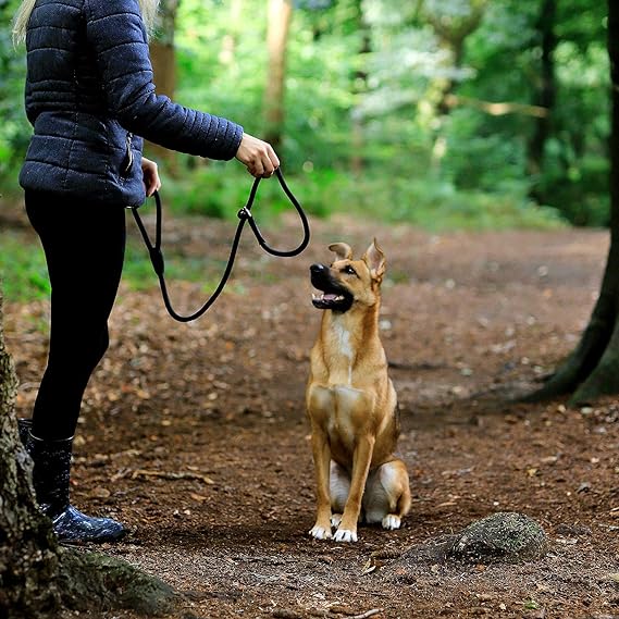 Laisse chien | Robuste