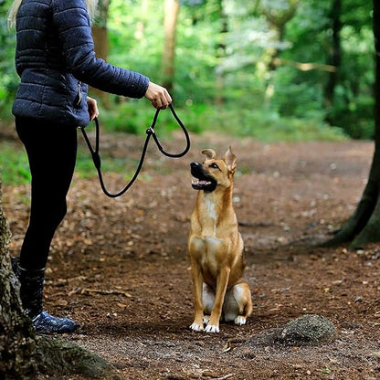 Laisse chien | Robuste