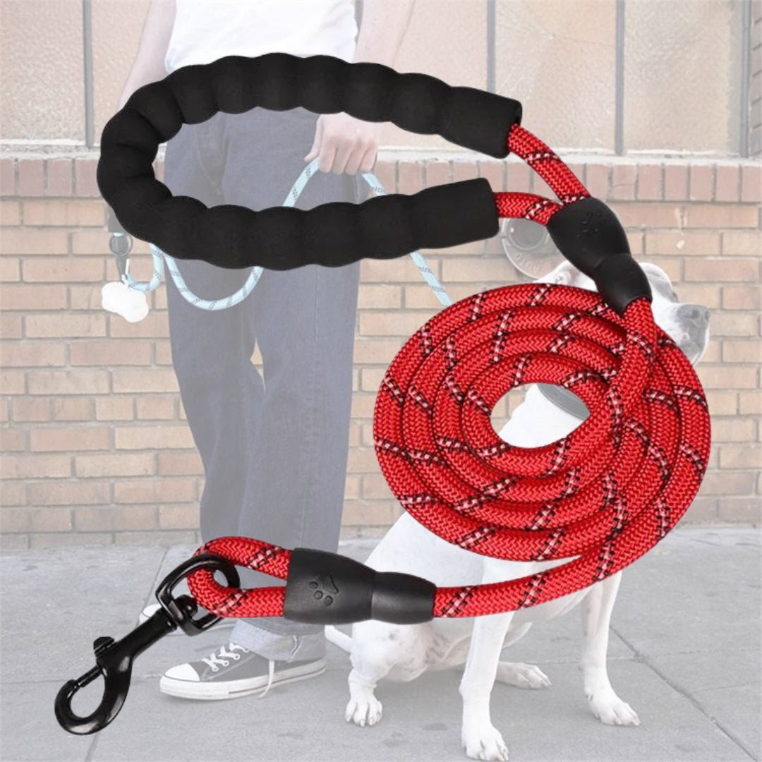 Laisse corde pour chien - Velvetcorde™ - Je Promène Mon Chien