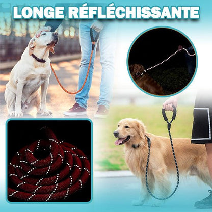 Laisse corde pour chien - Velvetcorde™ - Je Promène Mon Chien