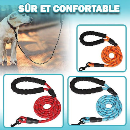 Laisse corde pour chien - Velvetcorde™ - Je Promène Mon Chien