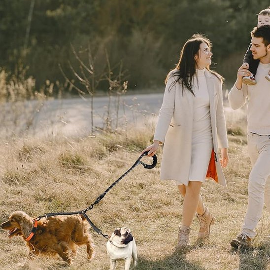 Laisse double pour chien à la campagne
