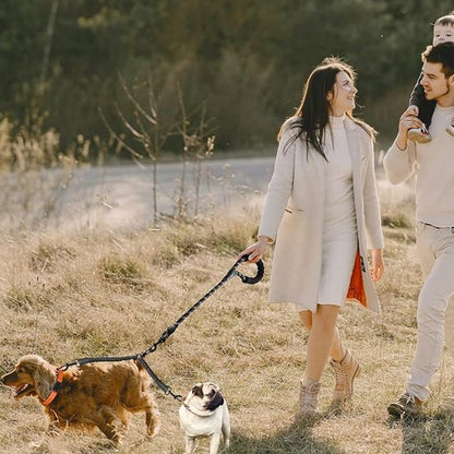 Laisse double pour chien à la campagne
