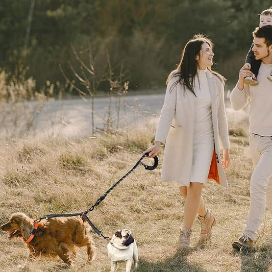 Laisse double pour chien à la campagne