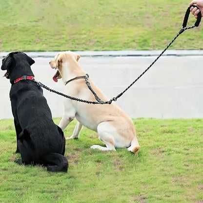 Laisse double pour chien bonne tenue