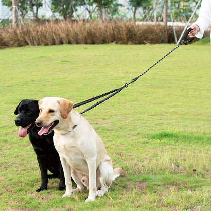 Laisse double pour chien calme sur la pelouse