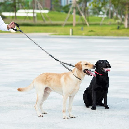 Laisse double pour chien duo dans le parc