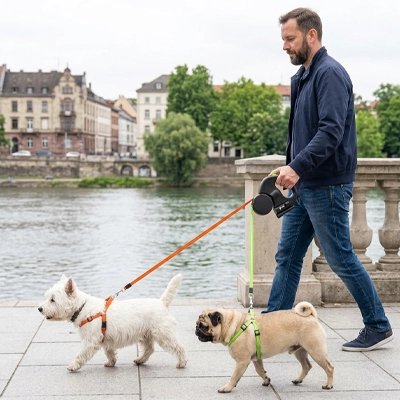Laisse double pour chien noire