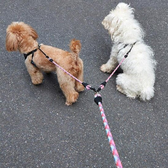 Laisse double pour chien rouge