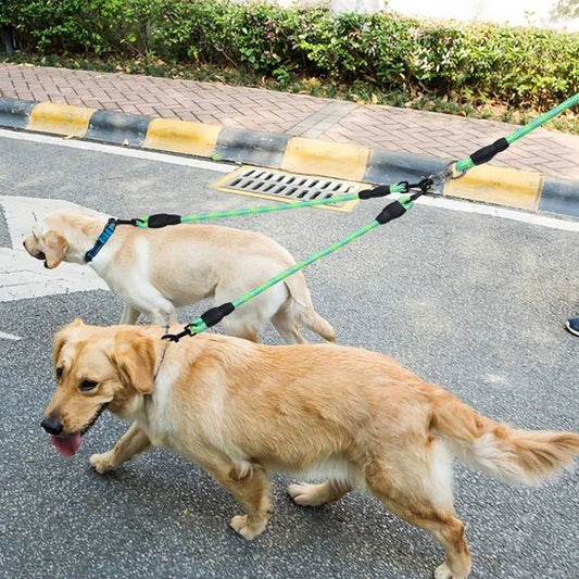 Laisse double pour chien verte