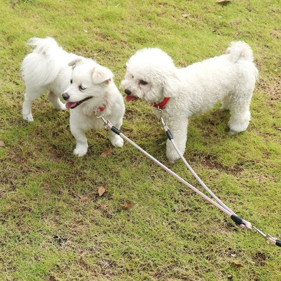 Laisse double pour chien violet