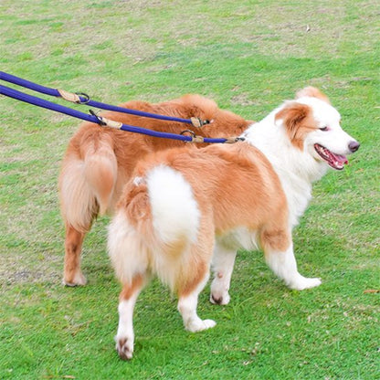 Laisse double pour chien