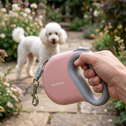Laisse enrouleur chien poignée antidérapante