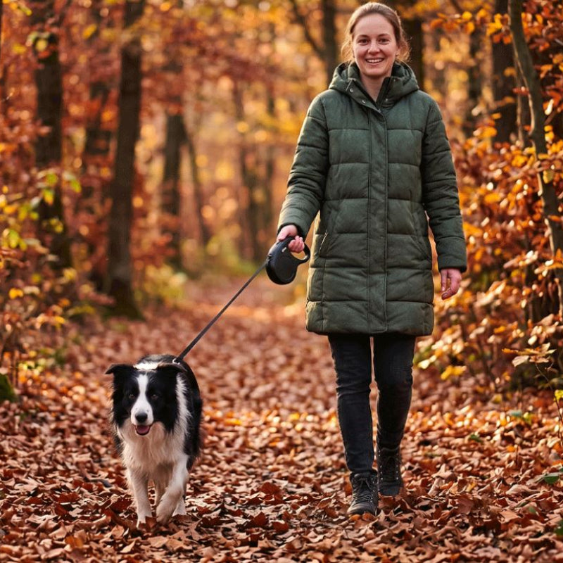 Laisse enrouleur forêt en automne