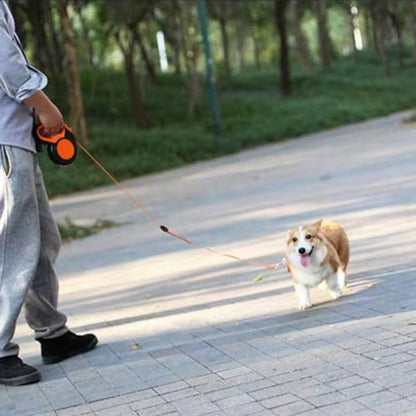 Laisse enrouleur pour chien orange en promenade