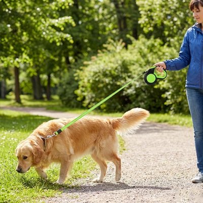 Laisse enrouleur pour chien verte