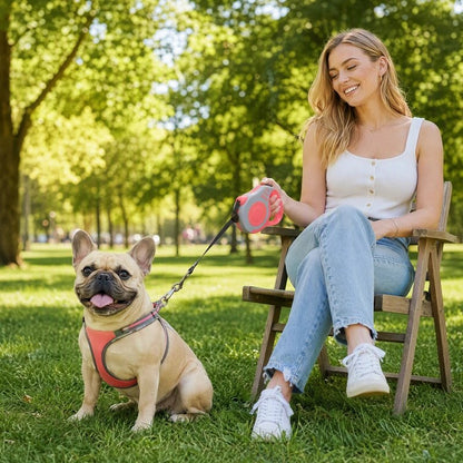 Laisse enrouleur pour petit chien assis au parc