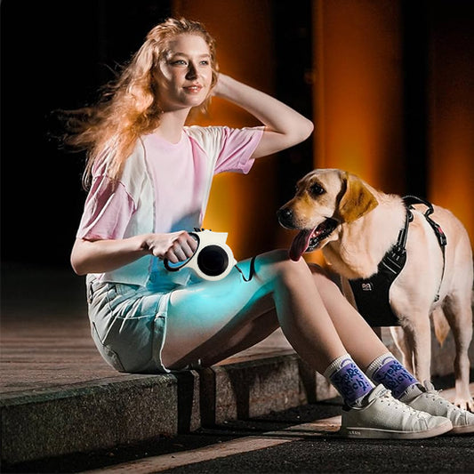 laisse pour chien le soir avec lumière tenue par jeune femme